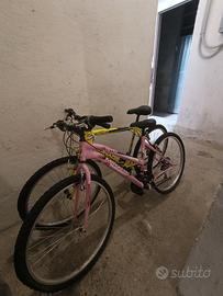 2 Bici Mountain bike uomo e donna