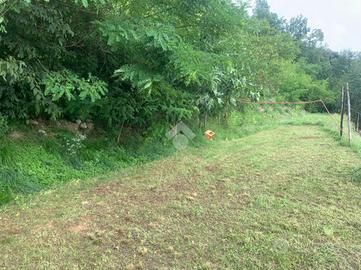 TER. AGRICOLO A PROVAGLIO D'ISEO