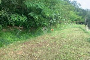 TER. AGRICOLO A PROVAGLIO D'ISEO