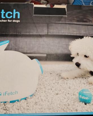 gioco cani lancia palline ifetch