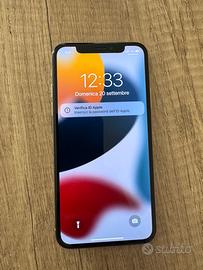 Iphone X 256gb tenuto maniacalmente