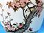 Immagine 10