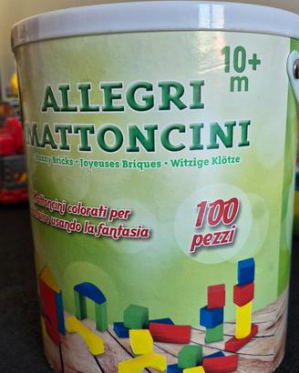 Mattoncini in legno 10 mesi+