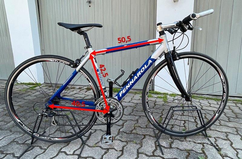 Bicicletta PENNAROLA Biciclette In vendita a Torino