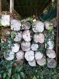 Travi vecchi in abete