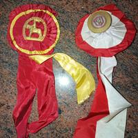 coccarde equitazione nazionale