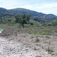 Terreno agricolo 50.000mq