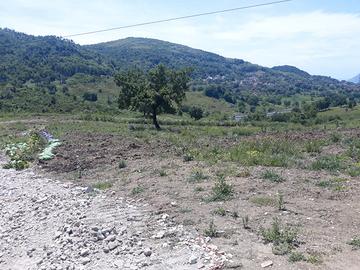 Terreno agricolo 50.000mq