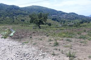 Terreno agricolo 50.000mq