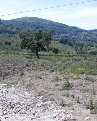 Terreno agricolo 50.000mq