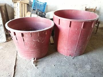 Tino botte per vino