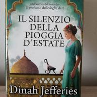 libro Il silenzio della pioggia d'estate Jefferies