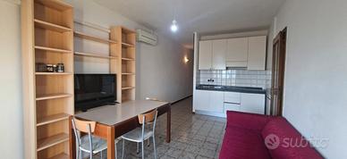 POLESELLA, appart. arredato con garage e ascensore