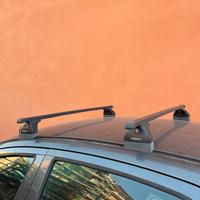 Portapacchi Peugeot 207