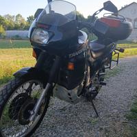 Honda Transalp XL 650 V