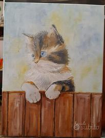 Quadro gatto olio 30x40 cm 50€