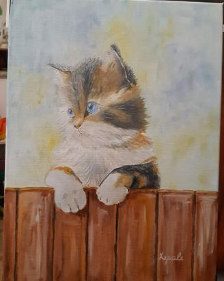 Quadro gatto olio 30x40 cm 50€