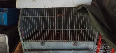  2 casse  per trasporto cani 