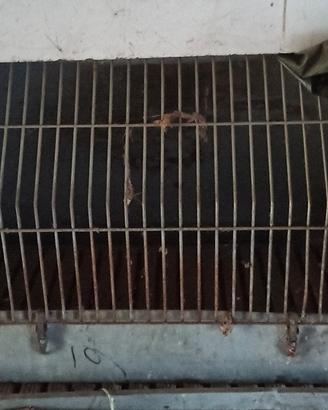  2 casse  per trasporto cani 