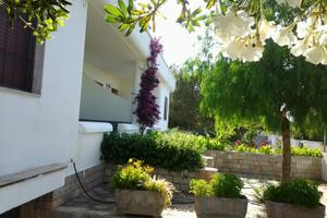 Spaziosa villa vicinissima al mare 6/7p.l