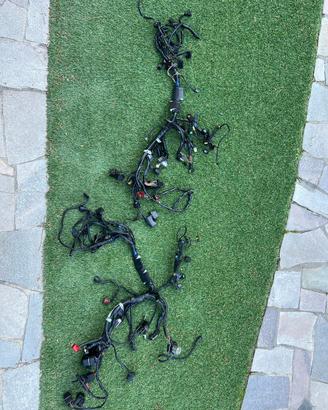 Triumph Speed triple 1050 n.2 impianti elettrici