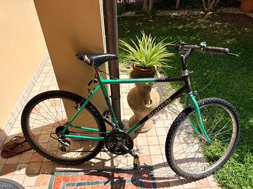 Bici bianchi