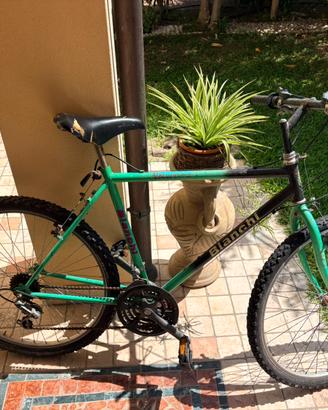 Bici bianchi