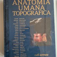 Anastasi anatomia topografica 