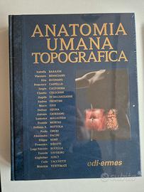 Anastasi anatomia topografica 