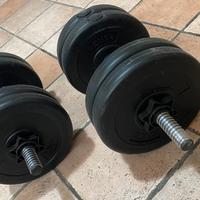 Manubri Pesi palestra