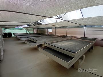 Azienda agricola per attività vivaistica nuova