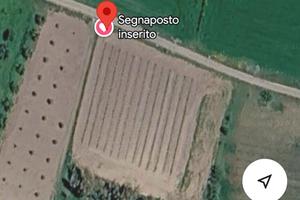 Vignetto