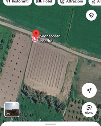 Vignetto