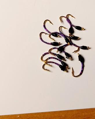 chironomi 