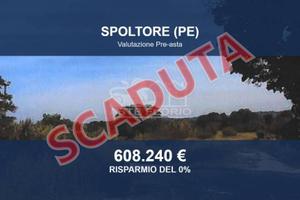 Immobile in asta di 24382 m² a Spoltore