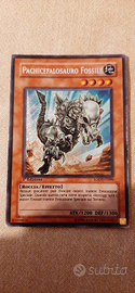 Yu gi oh PACHICEFALOSAURO FOSSILE RARA 1 edizione