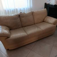 Divani in pelle 