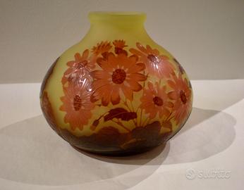 Cineraria- Vaso Galle