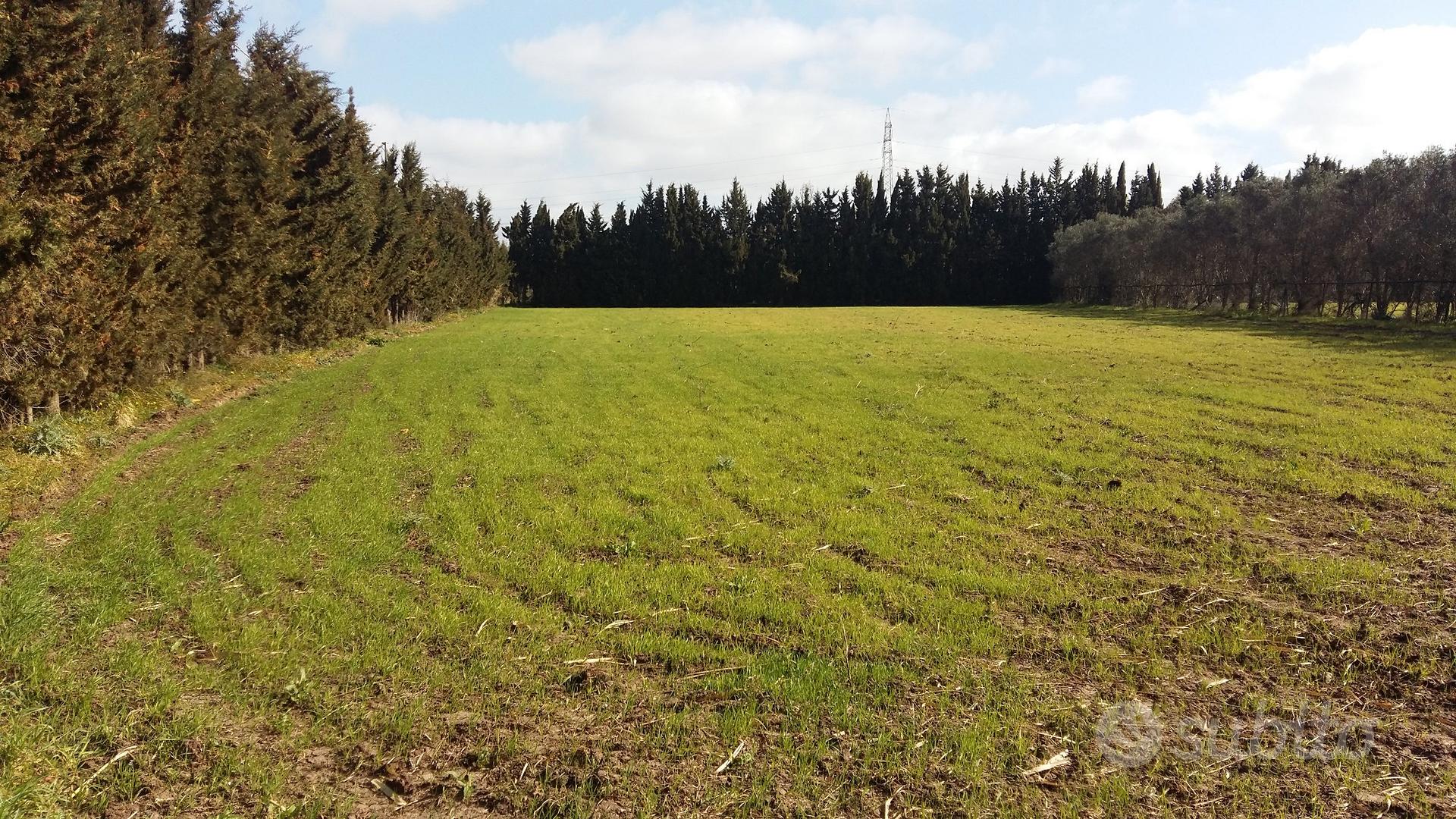 Terreno agricolo - Vista 4