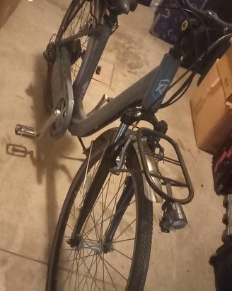 bicicletta elettrica 