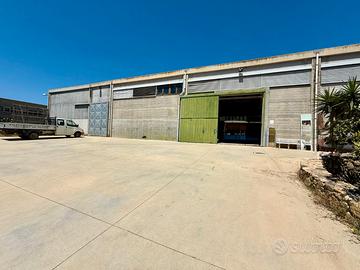 Ampi capannoni industriali