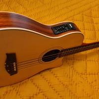 Basso acustico elettrico Ibanez serie AEB 45 LG