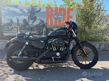 H-D Iron 883