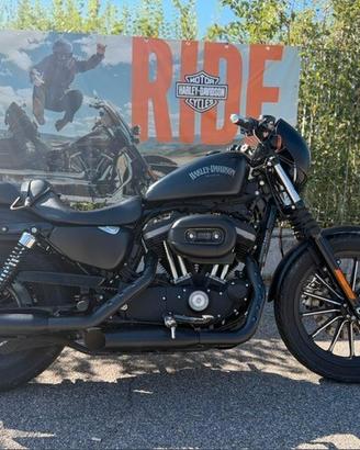 H-D Iron 883