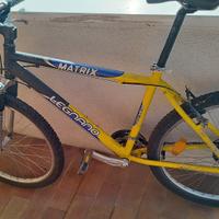 Mountain bike bici legnano