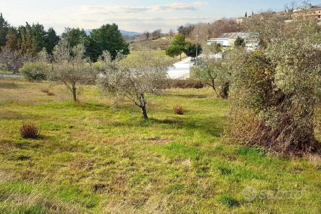 Immobile in asta di 7512 m² a Montefalco - Vista 3