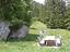 Immagine 22