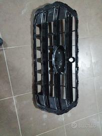 Mascherina Ford Transit