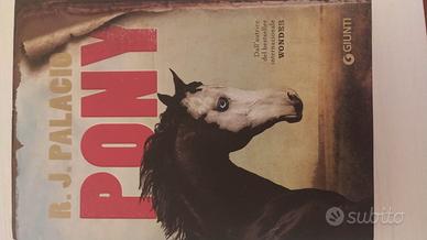 Libro pony paliacio