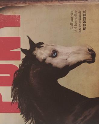 Libro pony paliacio